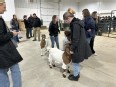 Occupational Therapy students getting to know goats in a large room for animals at the AT Expo